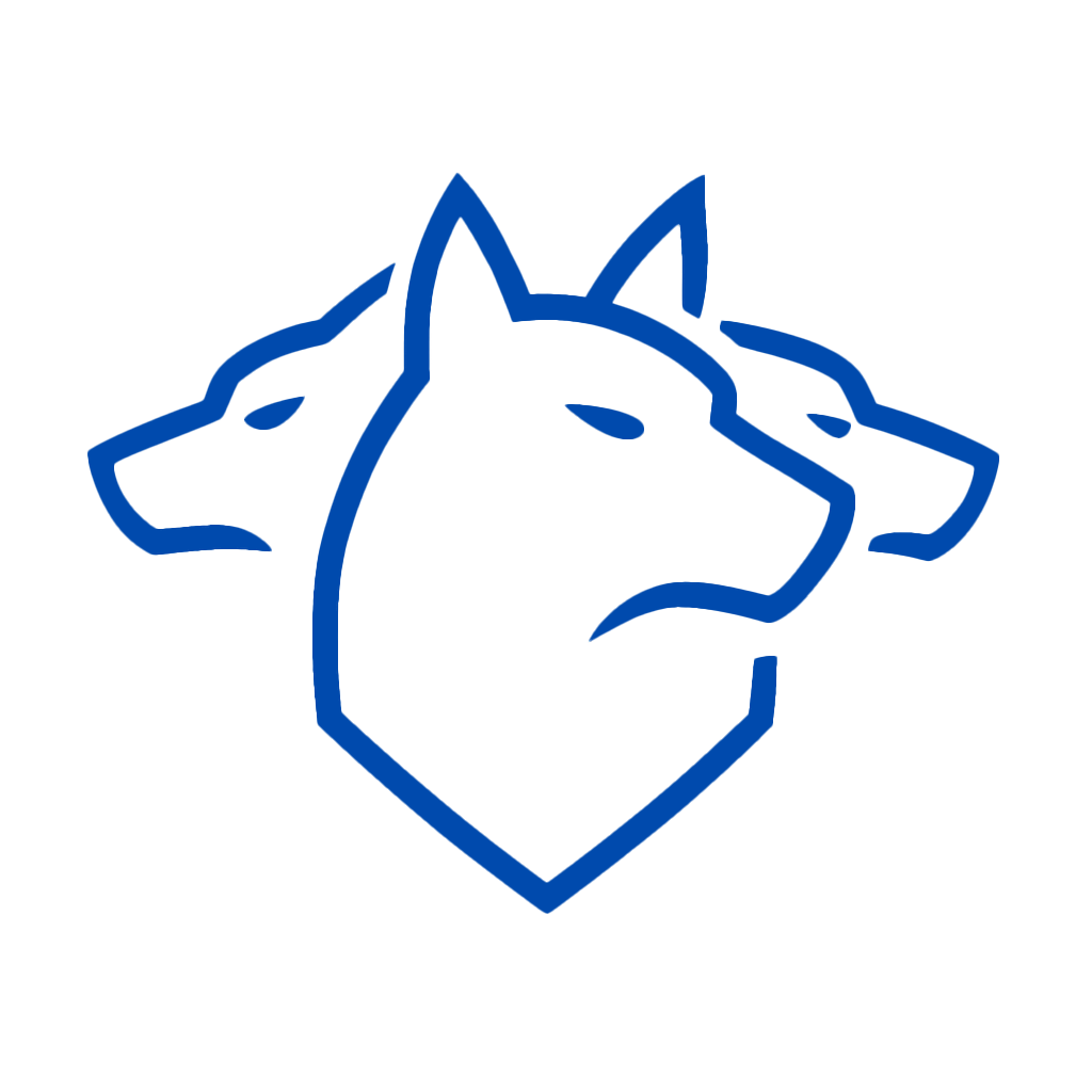 Cyberus IT Solutions Logo
